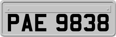 PAE9838