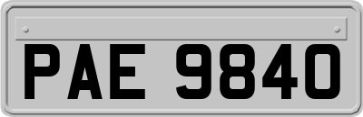 PAE9840