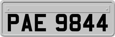 PAE9844