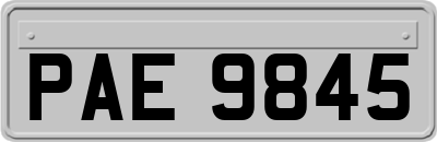 PAE9845