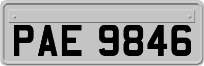 PAE9846