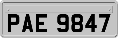 PAE9847