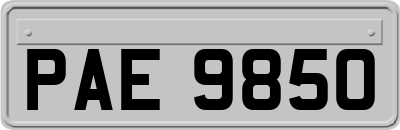 PAE9850