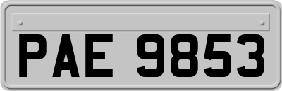 PAE9853