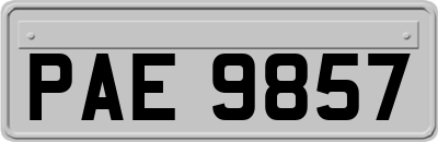 PAE9857