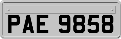 PAE9858