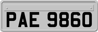 PAE9860