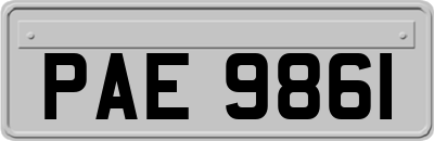PAE9861