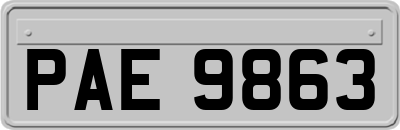 PAE9863