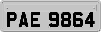 PAE9864