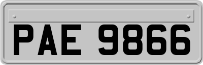 PAE9866