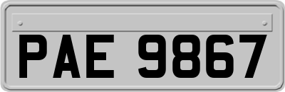 PAE9867