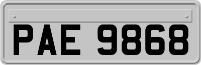 PAE9868