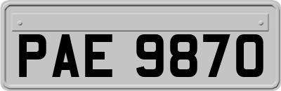 PAE9870