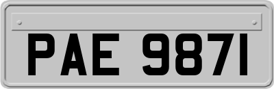 PAE9871