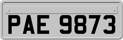 PAE9873