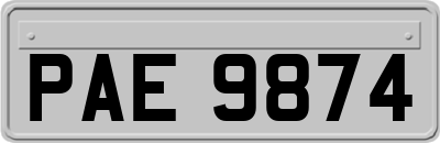PAE9874