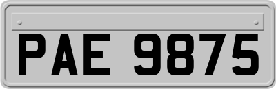 PAE9875