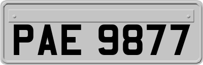 PAE9877