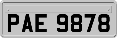 PAE9878