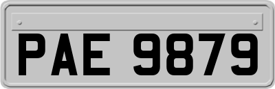 PAE9879