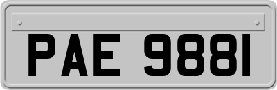PAE9881