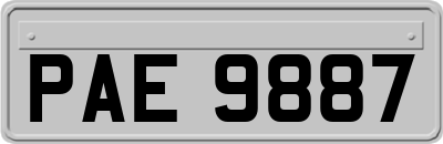 PAE9887