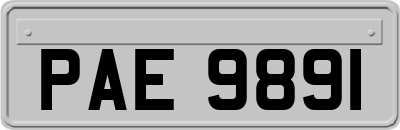 PAE9891