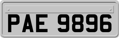 PAE9896
