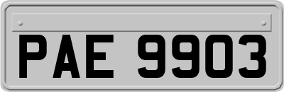 PAE9903