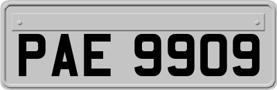 PAE9909