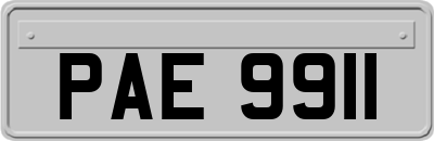 PAE9911