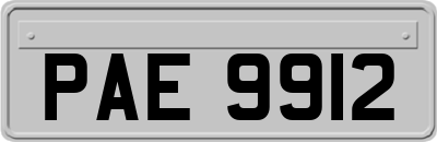 PAE9912