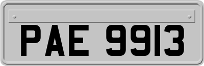 PAE9913
