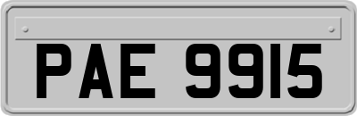 PAE9915