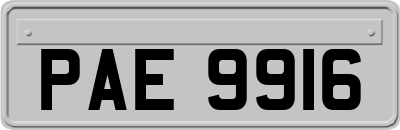 PAE9916