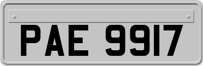 PAE9917