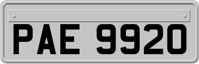 PAE9920