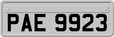 PAE9923