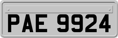 PAE9924