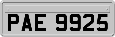 PAE9925