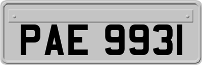 PAE9931