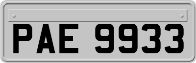 PAE9933