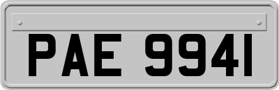 PAE9941