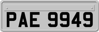 PAE9949
