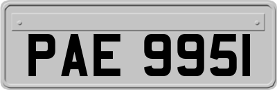 PAE9951