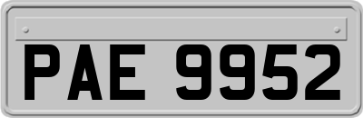 PAE9952