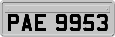 PAE9953