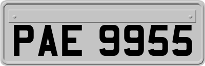 PAE9955
