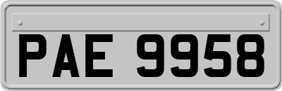 PAE9958